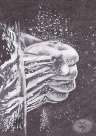 Vizes ököl A4 grafit,szén ceruza,pasztell,fehér tempera rajzom :)